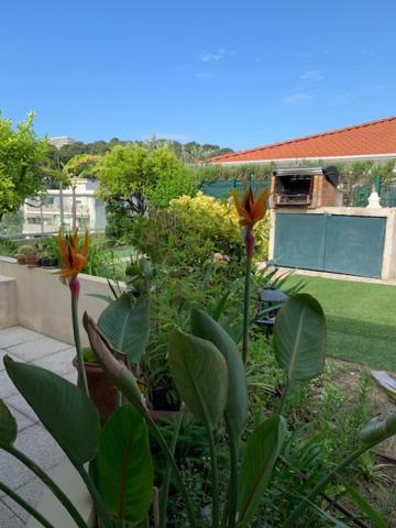 Jardin D'Azur Proche Mer Cagnes-sur-Mer Exterior photo